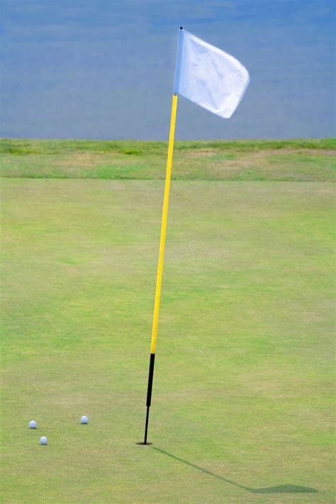 Golf Hole With A Flag Stock Photo - Image: 14192840