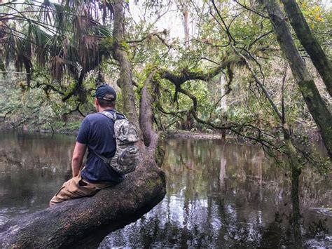 Hiking Hillsborough River State Park in Florida - DnSAdventures