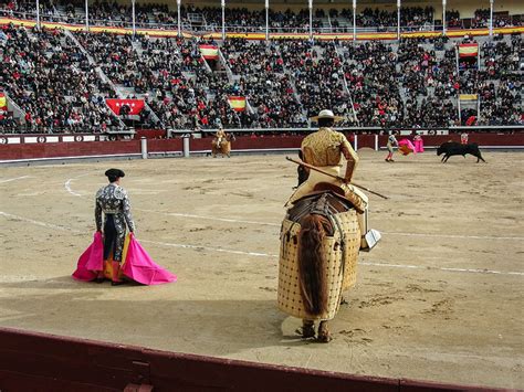 Pamplona Bull Fights - Ticket Only - TGW Travel Group