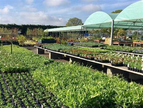 Holly Farm garden centre in Prees creates jobs due to expansion