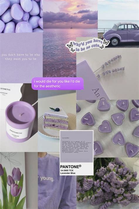 Lavender aesthetic wallpaper collage | Lavender aesthetic, Aesthetic ...