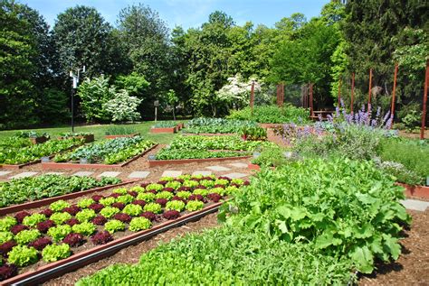 White House Kitchen Garden | angela n. | Flickr