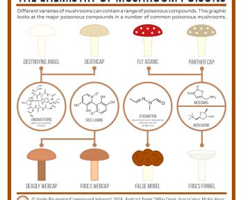 Compound Interest: Sourness & Scurvy – The Chemistry of a Lemon