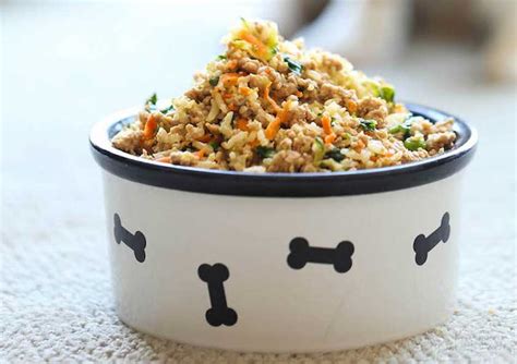 10 delicious and healthy dog food recipes you can make at home.