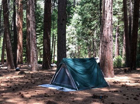 Kings Canyon Camping Advice You Need To Know - No Back Home