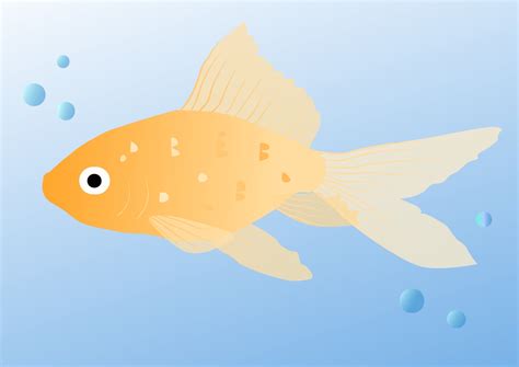 How to Draw a Fish