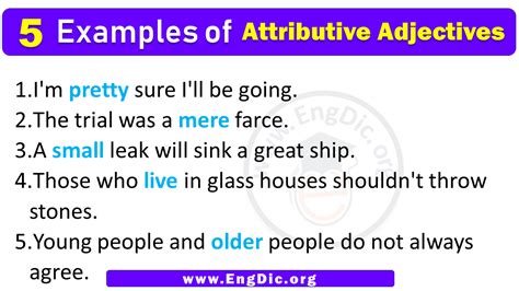 5 Examples of Attributive adjectives in Sentences - EngDic