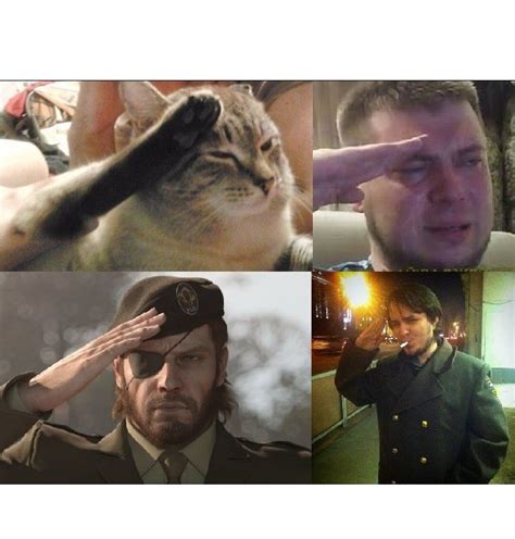 Create meme "cat salutes meme, photo salute meme, f to pay respect meme" - Pictures - Meme ...