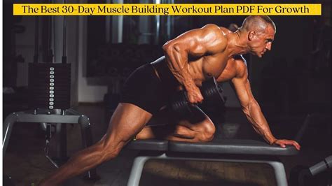 Isometric workout plan pdf - heroluda