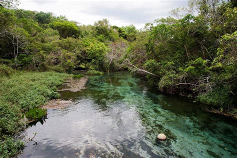 Sucuri River Boat Tour from Bonito - Book Online at Civitatis.com