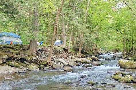 Elkmont Campground PICS + things to do nearby in Smoky Mountains ⛰🐻 TN Smokies travel blog ...