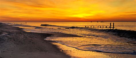 More from Cape May, New Jersey | Stephen L Tabone Nature Photography