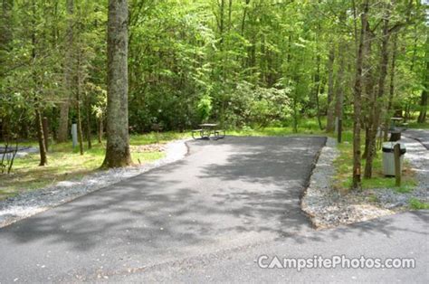 Roan Mountain State Park - Campsite Photos & Reservations