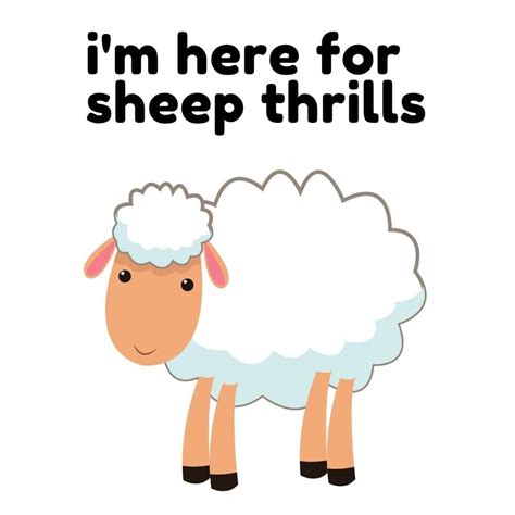 30+ Wooly Great Sheep Puns - Box of Puns