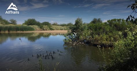 Best hikes and trails in Gilbert Riparian Preserve | AllTrails