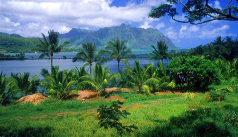 Niihau, Hawaii - Travel Devotion