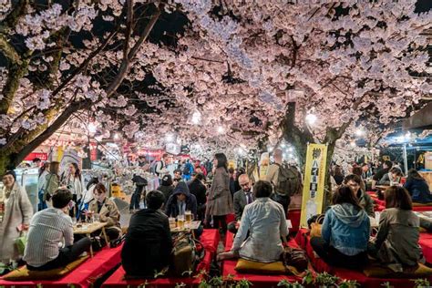 Cherry Blossoms in Kyoto: When & Where to See Sakura in Spring 2021