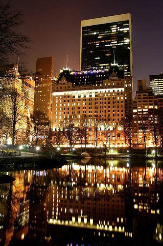 a view from Central Park | New york city, City, The plaza hotel nyc