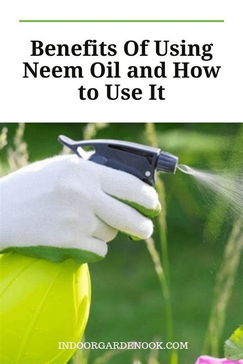 How To Make Neem Oil Spray For Indoor Plants | | Neem oil, How to make neem oil, Plant problems