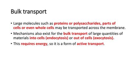 Bulk transport.pptx