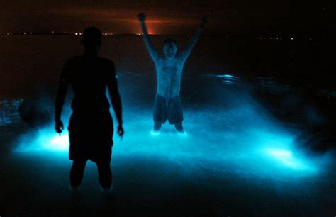 Bioluminescence in Gippsland Lakes, Australia | Amusing Planet