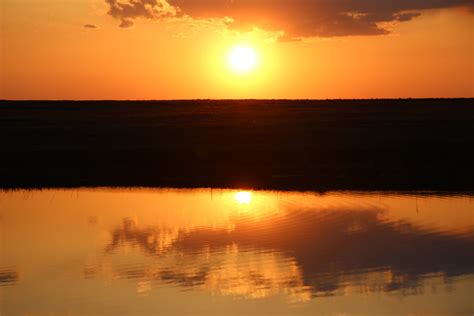 Golden Sunset Over Water Free Stock Photo - Public Domain Pictures