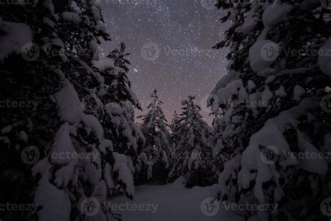 winter night landscape nature forest 10702459 Stock Photo at Vecteezy