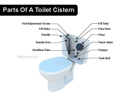 How Toilet Cisterns Work: Beginners Guide – MellowPine