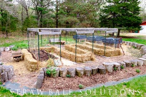 Straw Bale Gardening Problems | Fasci Garden