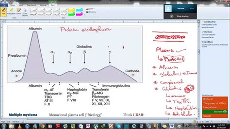 Serum Protein electrophoresis - YouTube