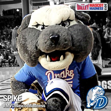 Drake Bulldogs mascot, Spike | Drake bulldogs, Mascot, Bulldog mascot