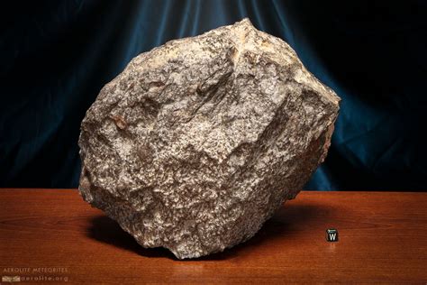 Stone Meteorite | NWA 869 13kg | Aerolite Meteorites