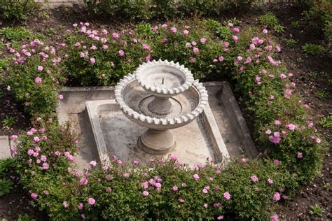 Round Marble Garden Fountain Surrounded by Roses, Fountain without Water Stock Photo - Image of ...