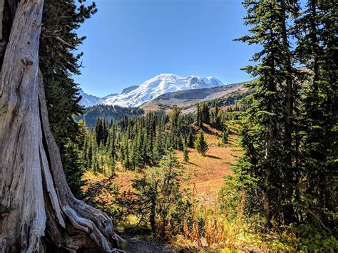 966 best Mount Rainier National Park images on Pholder | Earth Porn ...