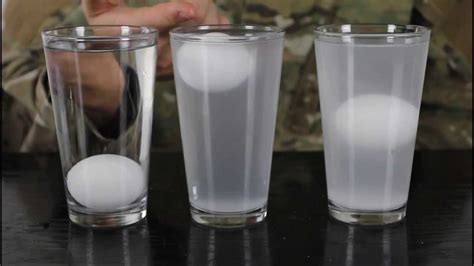 Eggs & Salt Water - Water Density Science Experiment - YouTube