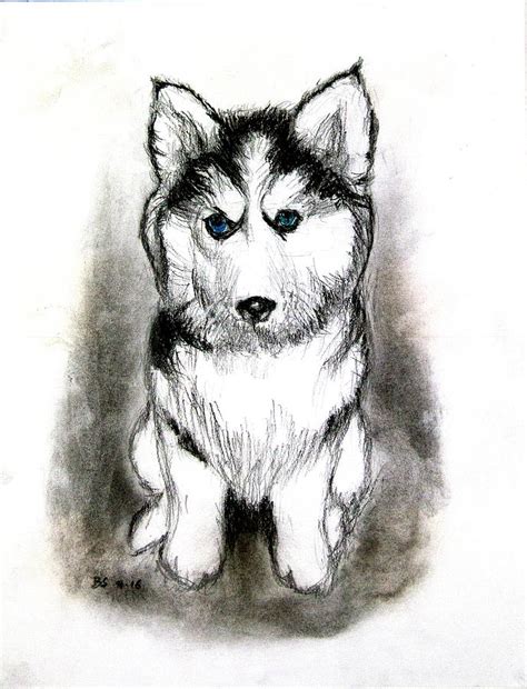 How To Draw A Husky Puppy / =) follow along to learn how to draw a ...