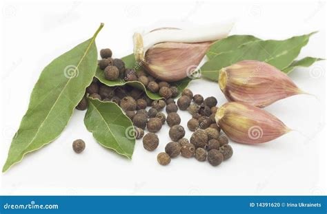 Spice, pepper stock photo. Image of multi, eating, dried - 14391620