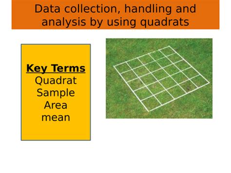 Data collection, handling and analysis: using quadrat | Teaching Resources