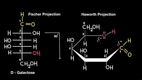 Fischer to Haworth Projection - YouTube