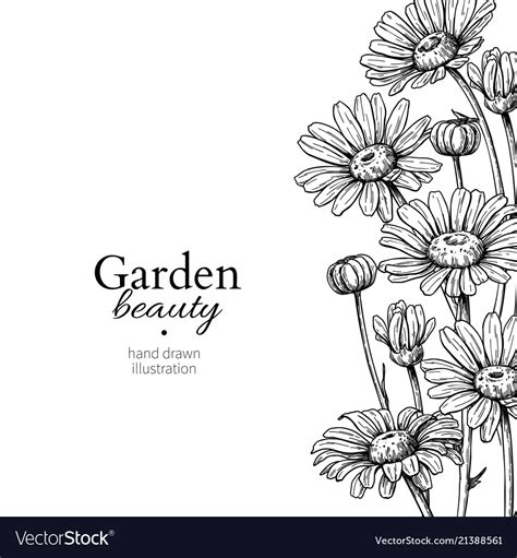 Hand Drawn Flower Border Design | Best Flower Site