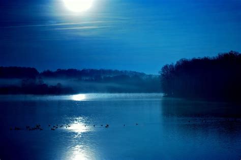 Lake with mist in moonlight | Smithsonian Photo Contest | Smithsonian Magazine