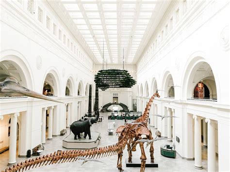 21 Best Chicago Museums You Should Explore In 2024