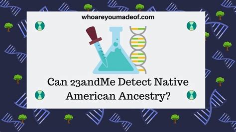 Can 23andMe Detect Native American Ancestry? - Who are You Made Of?