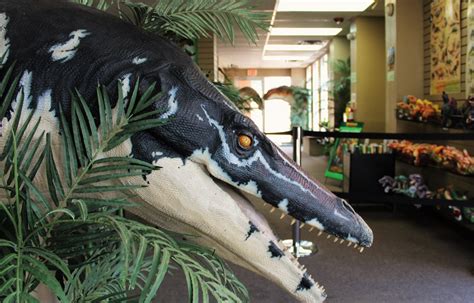 Over 50 Life-Sized Dinos on Display at the Dinosaur Museum | Museums To Visit in Branson ...