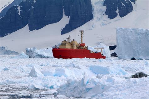 Invasive Species “Hitchhiking” on Ships Threaten Antarctica’s Unique Ecosystems