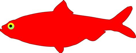 Clipart - Red Herring