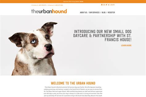 18 Best Pet Care Websites Design Inspiration 2025 - Colorlib