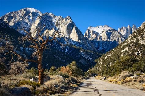 Exploring Sequoia & Kings Canyon National Park