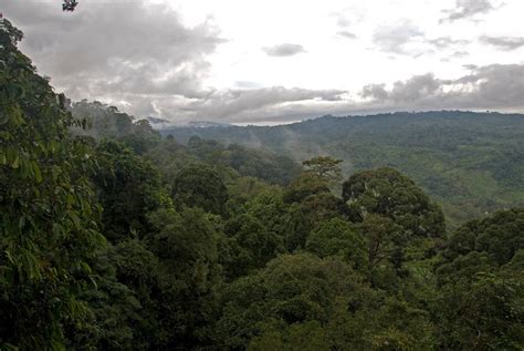 Kinabalu National Park | GoUNESCO | Go UNESCO