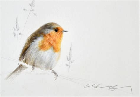 Robin Paintings For Sale | Carnes Fine Art